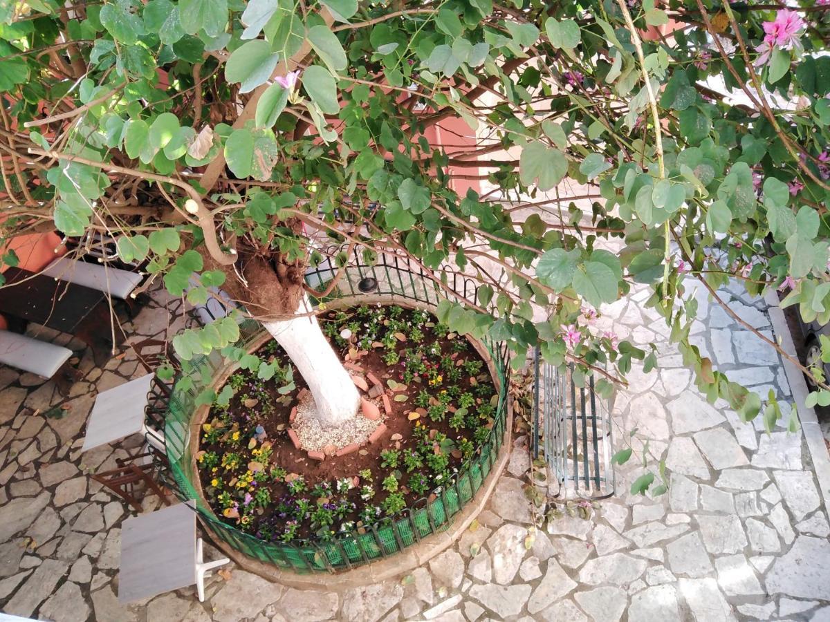 Lilliput Studio Corfu Old Town المظهر الخارجي الصورة